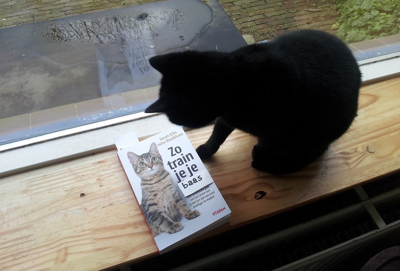Studeren 20190319.jpg
