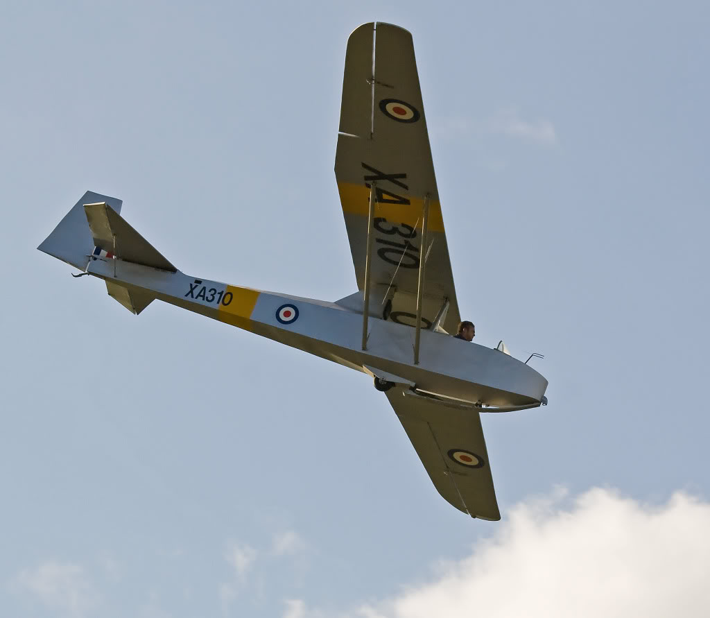 t11.jpg