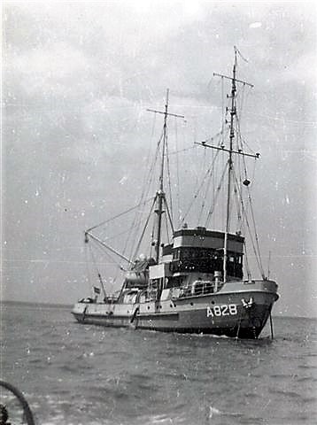 temi_IV%20(1).jpg