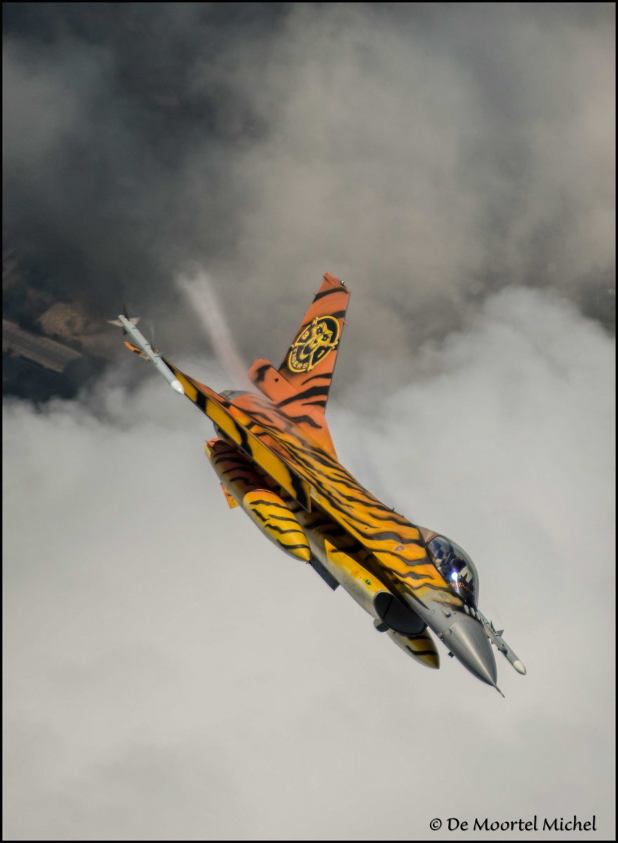 Tiger F16 _0045 kopie.JPG
