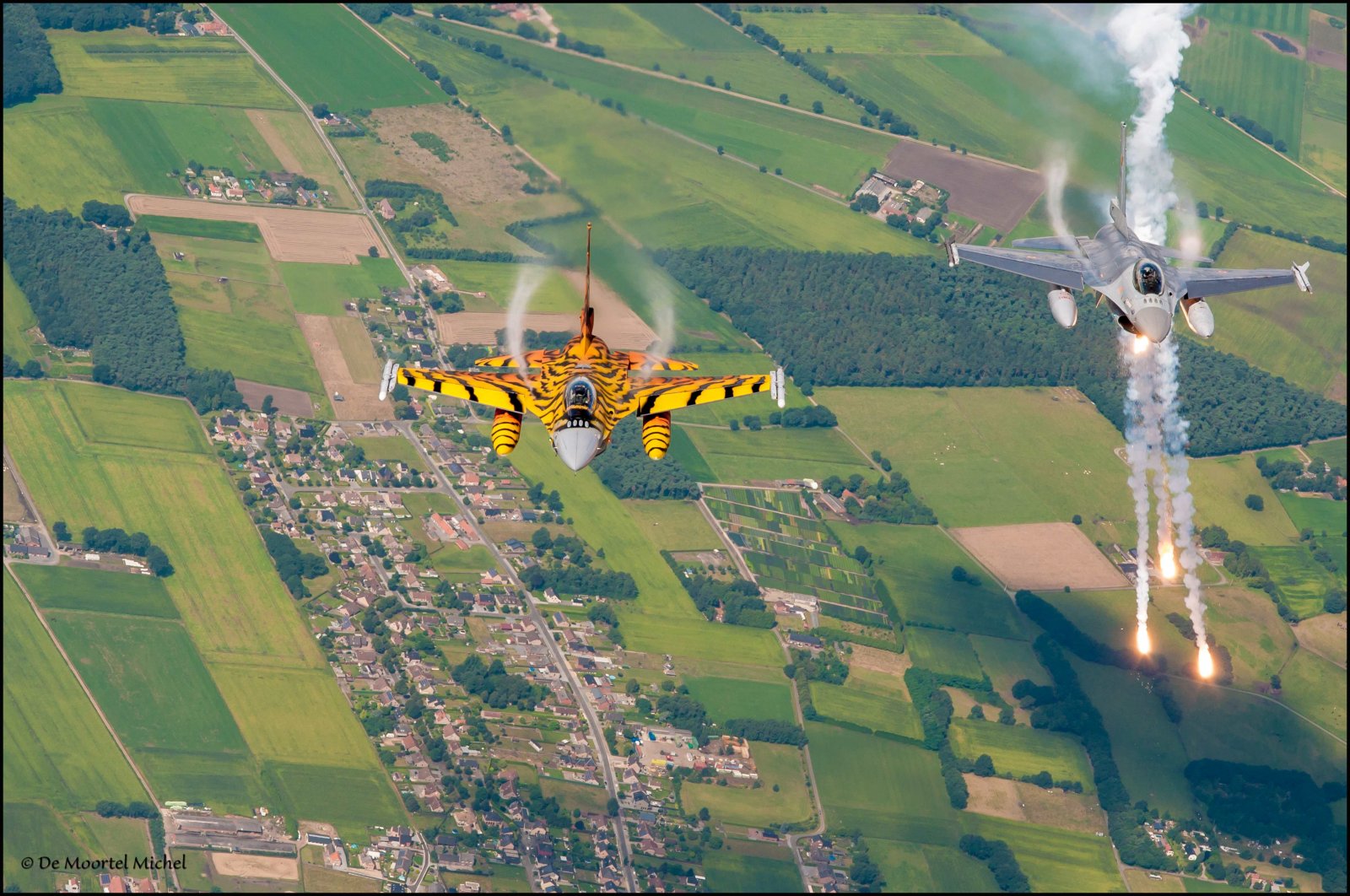 Tiger F16 _0514 kopie.JPG