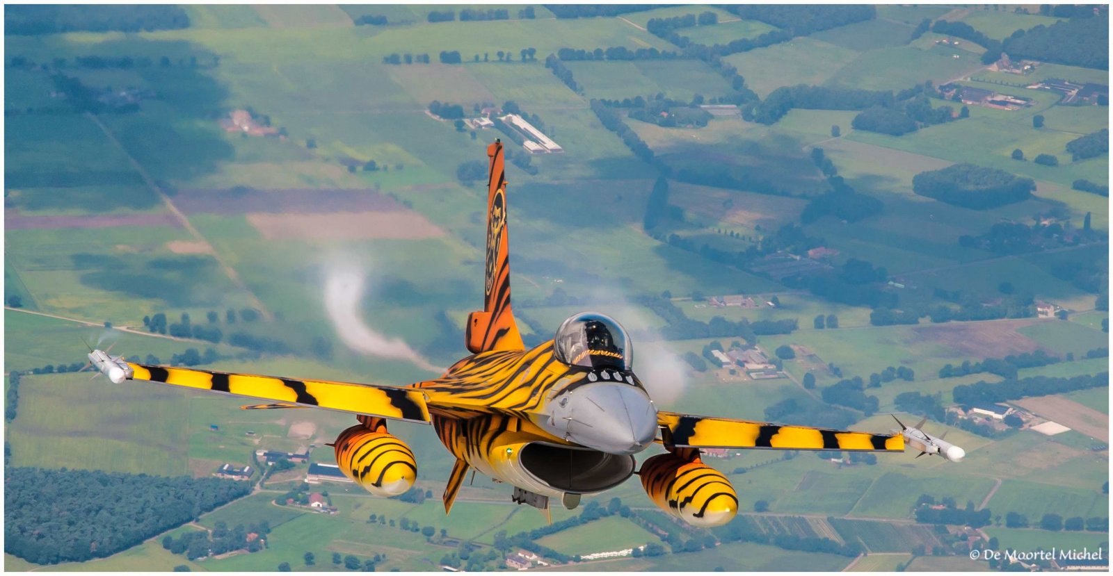 Tiger F16 _0625 kopie.JPG