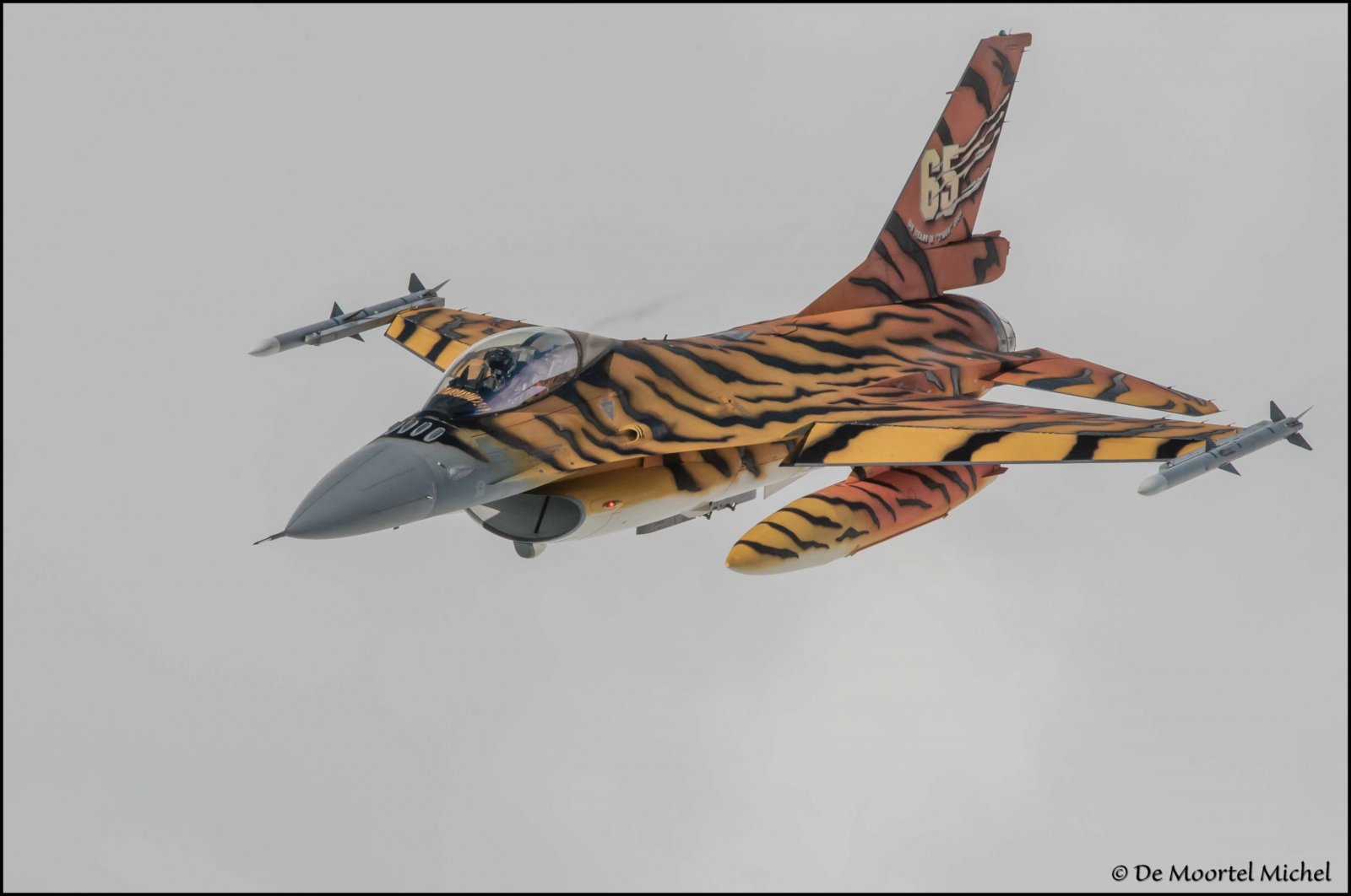 Tiger F16 _0710 kopie.JPG