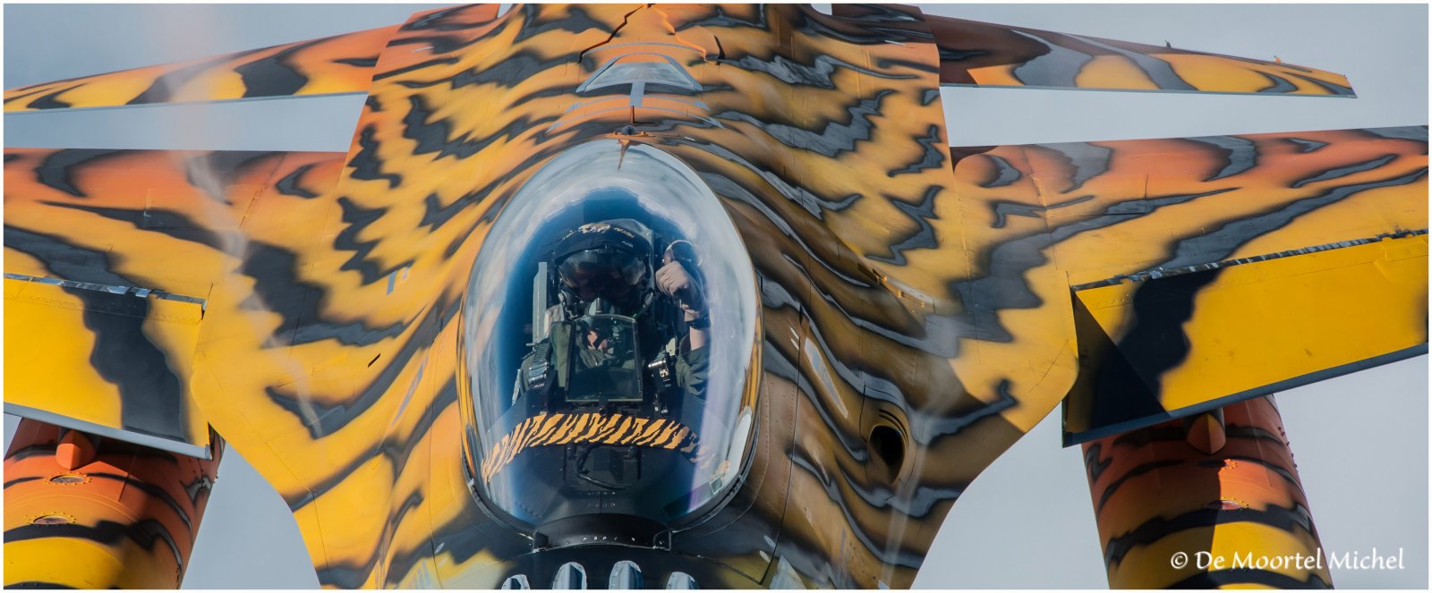 Tiger F16 _0848_edited-1.jpg