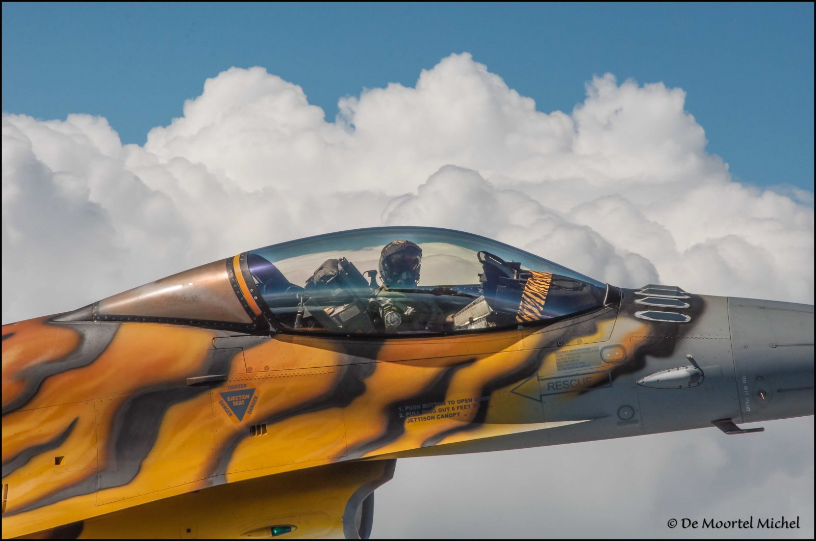 Tiger F16 _0949 kopie.JPG