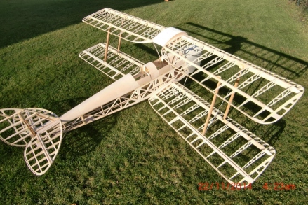 Tiger Moth 1.jpg