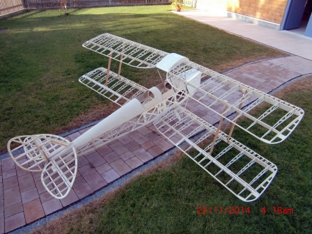 Tiger Moth 6.jpg