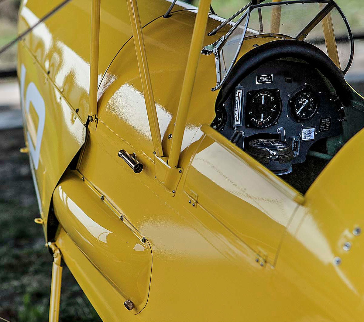 tiger-moth-detail-1-gross.jpg