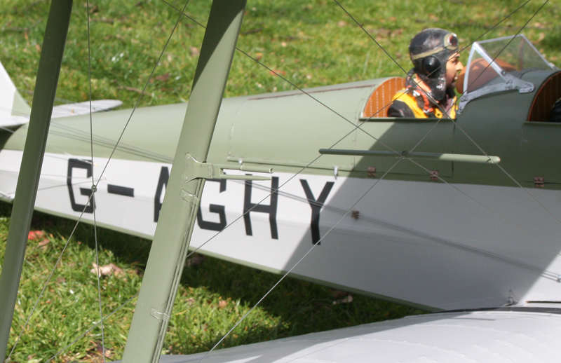 Tiger_Moth-448.jpg
