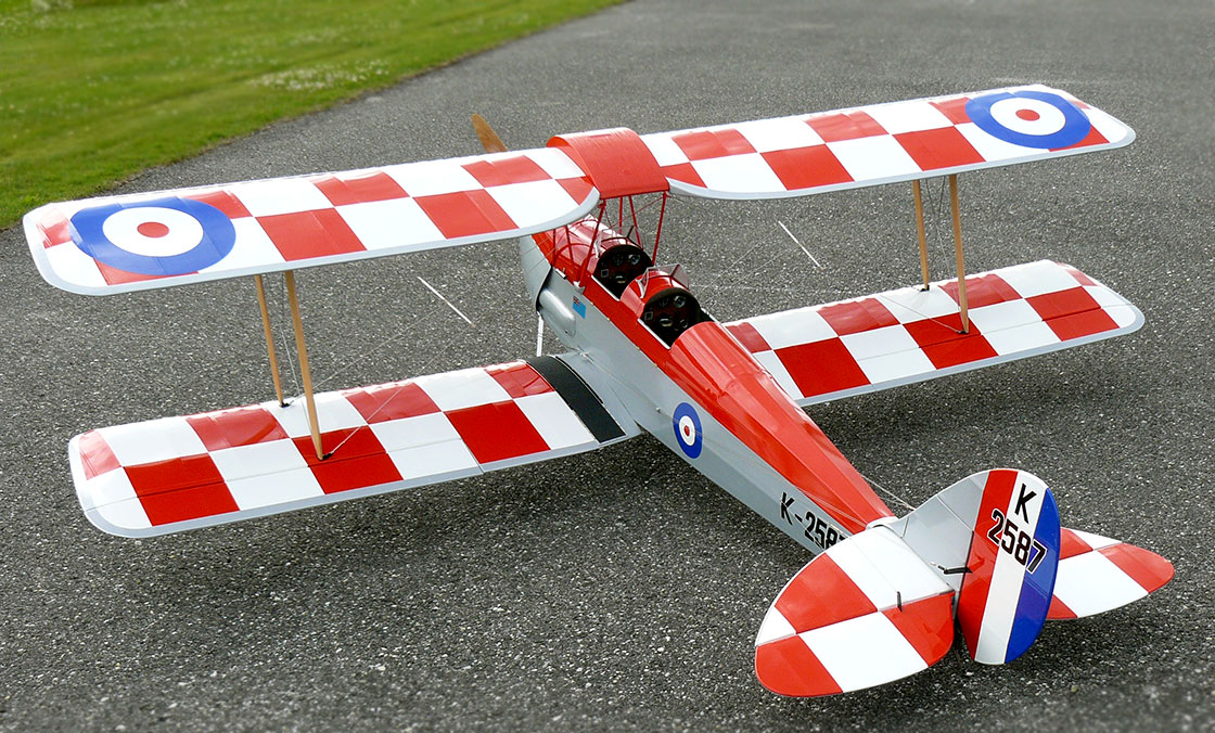 Tigermoth_13.jpg