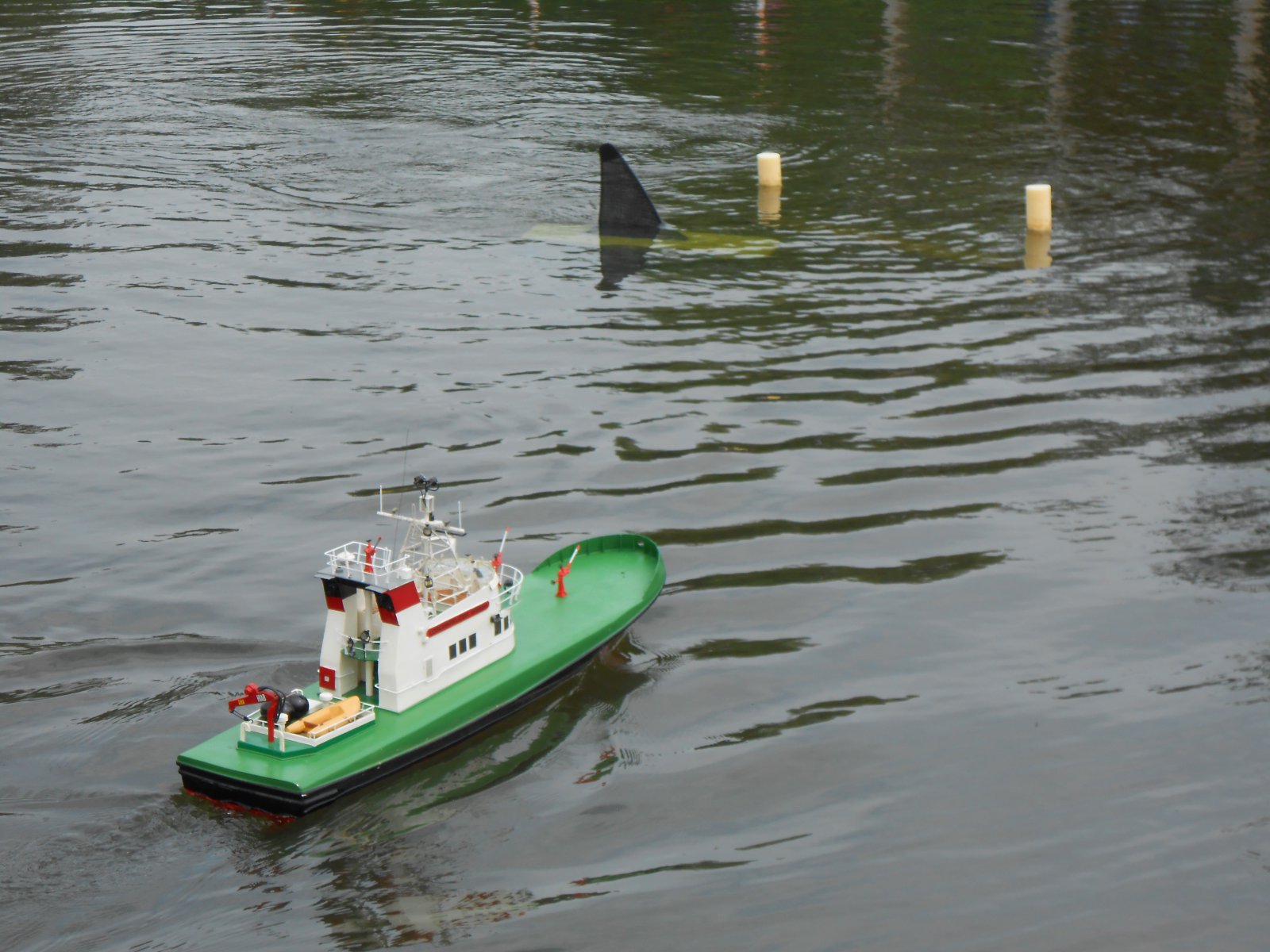 varen nieuwe vijver 1 (44).JPG