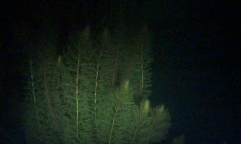 vlcsnap-2024-04-07-21h23m19s547.png