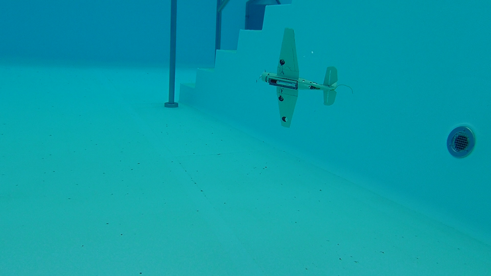 vlcsnap-2024-04-29-11h37m03s325.png
