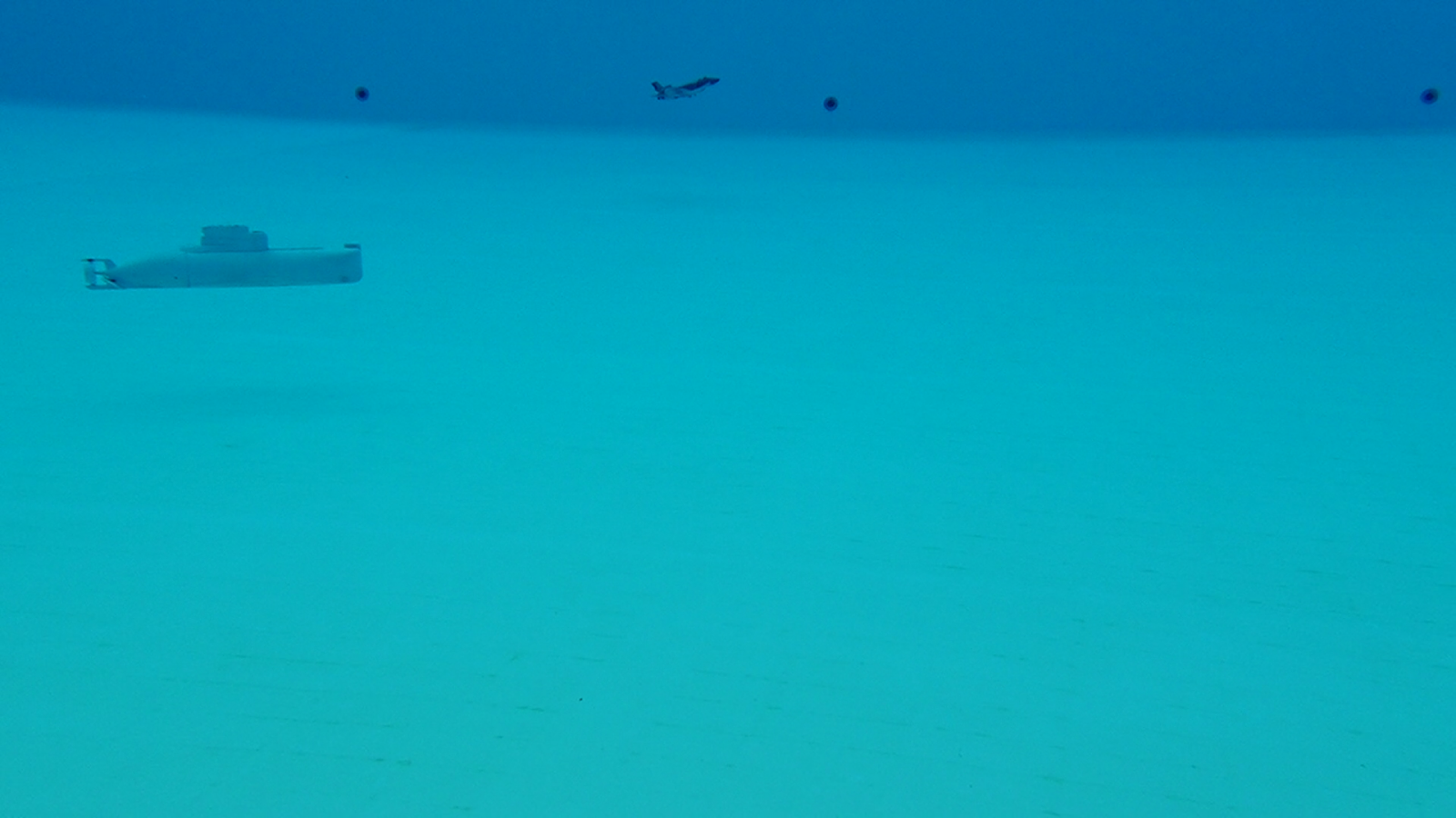 vlcsnap-2024-04-29-20h44m02s761.png