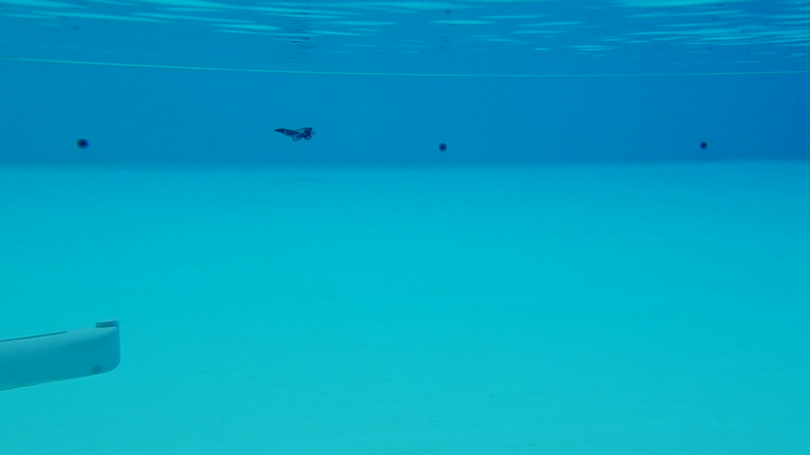 vlcsnap-2024-04-29-20h44m34s126.png