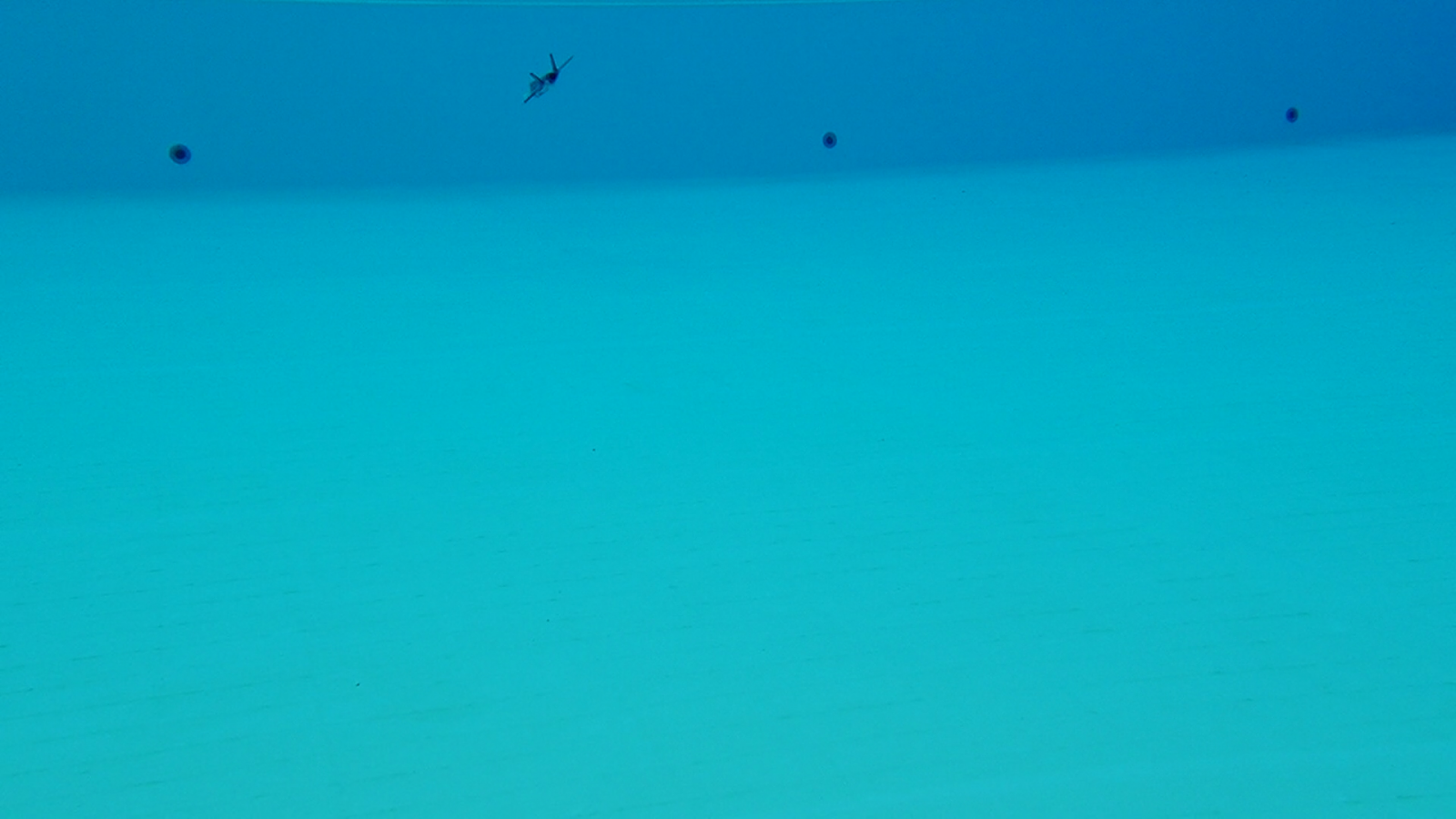 vlcsnap-2024-04-29-20h45m39s695.png