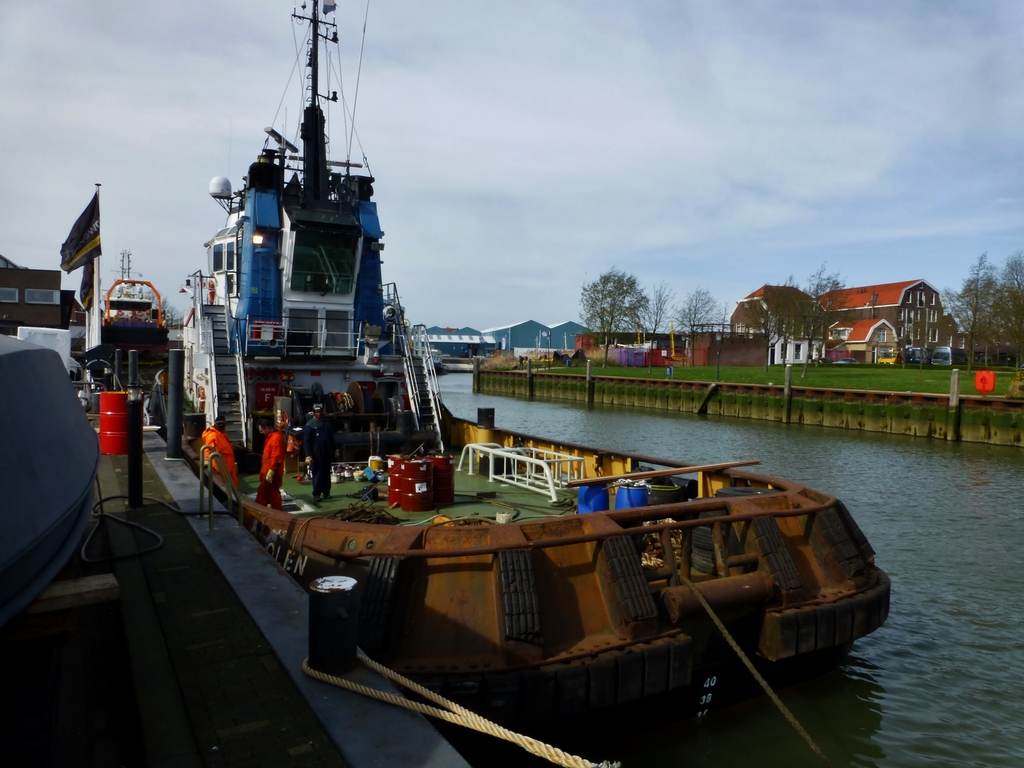 w-POLEN 2014-03-19 14.33.JPG