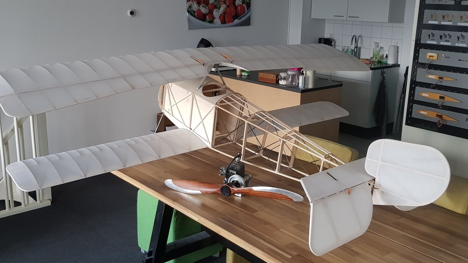 Wings and tail covered.jpg