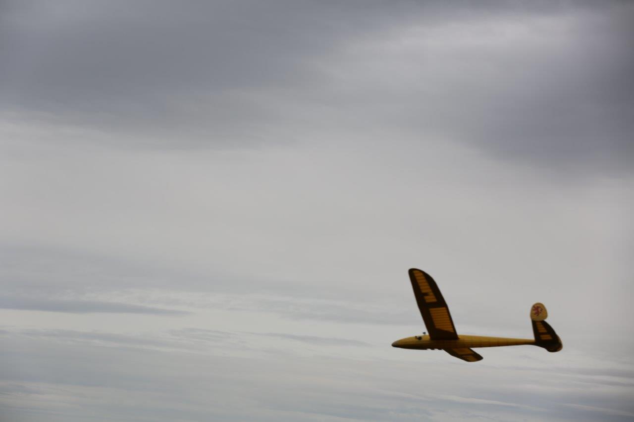 X11A6979.jpg