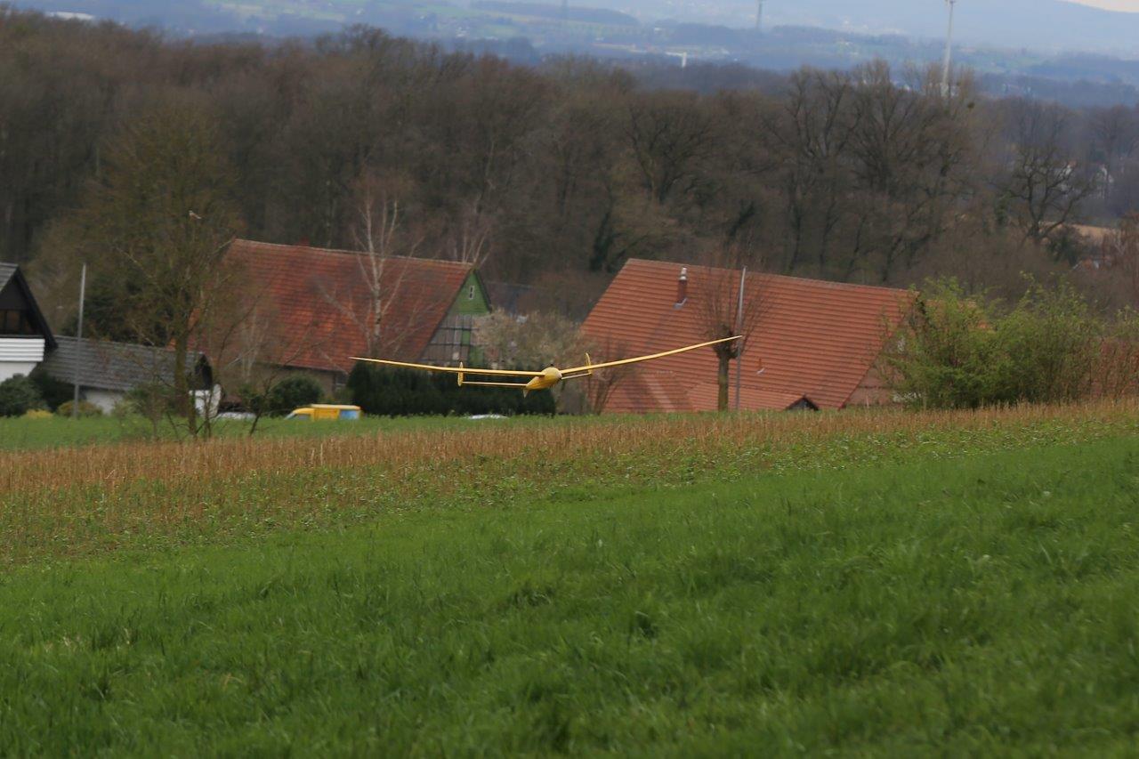 X11A6984.jpg