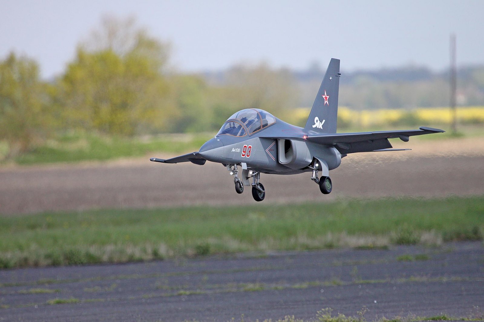 yak1.jpg