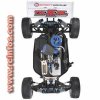RC Buggy Sport Werks (3).jpg