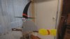 IMG-20151023-WA0000[1].jpeg