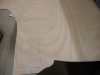 DSCN8153.JPG