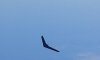 20160617_202152.jpg