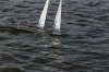 IMG_3798.JPG