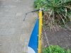 DSC00806.JPG