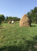 B0B96DDF-BE63-4AD4-897D-77796D72B005.png