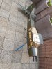 IMG-20180608-WA0005.jpg