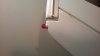 IMG-20180824-WA0003.jpg