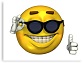 Smiley Zonnebril Klein.jpg