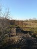 IMG_20190226_161325.jpg