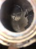 IMG_7354.JPEG