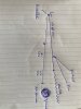 IMG_1528.jpeg