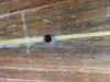 IMG_1543.jpeg