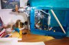 251205 BAV37 004.jpg