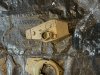 IMG_0618.jpeg