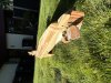 IMG_0777.jpeg