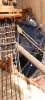 20241230_164117.gif