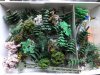IMG_0096.jpeg