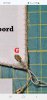 Screenshot_20250409_123728_Chrome.jpg