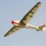zomerzweefvogel