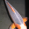Sanchagoi