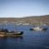 SeaShepherdYard