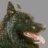 blackdog