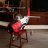 MARTIN290470